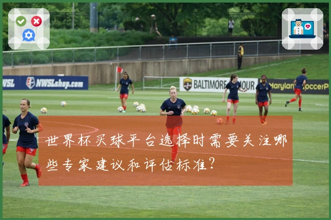 世界杯买球平台选择时需要关注哪些专家建议和评估标准？