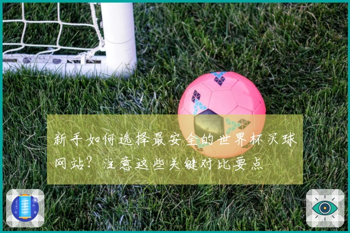 新手如何选择最安全的世界杯买球网站？注意这些关键对比要点