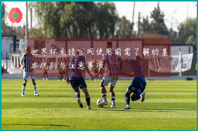 世界杯竞猜官网使用前需了解的基本规则与注意事项