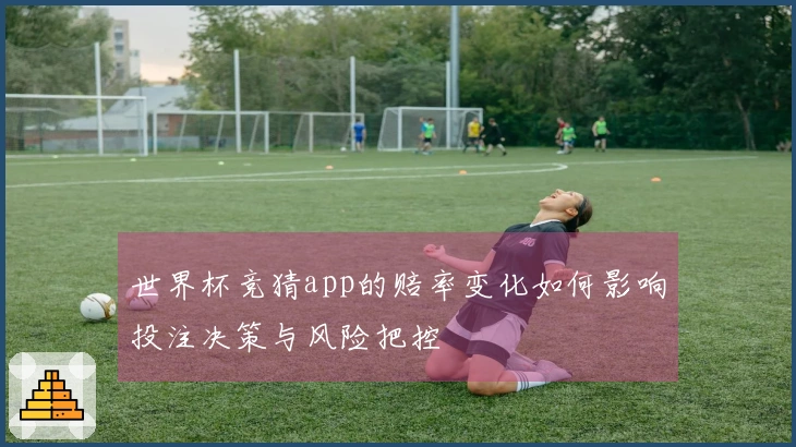 世界杯竞猜app的赔率变化如何影响投注决策与风险把控