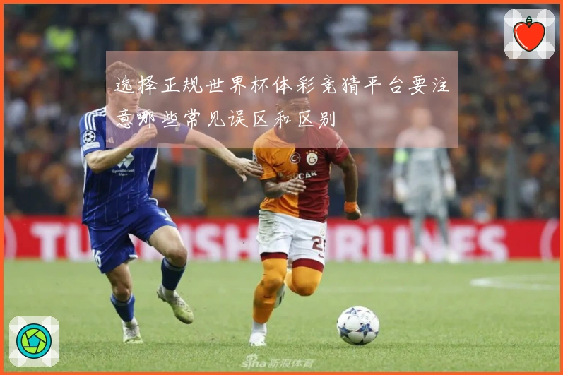 选择正规世界杯体彩竞猜平台要注意哪些常见误区和区别