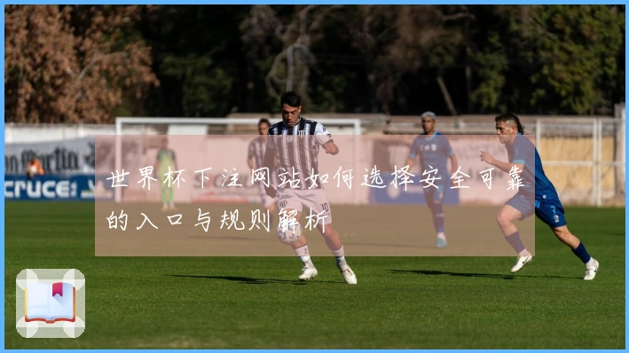 世界杯下注网站如何选择安全可靠的入口与规则解析