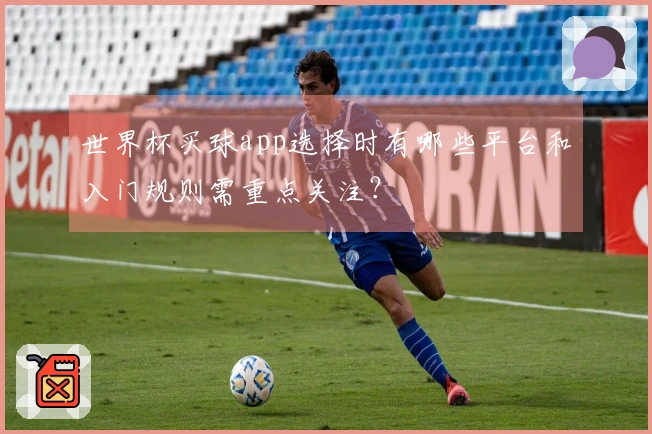 世界杯买球app选择时有哪些平台和入门规则需重点关注？