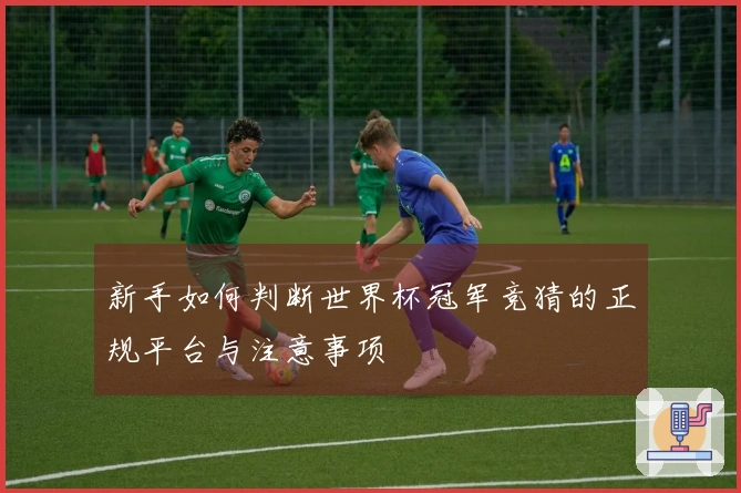 新手如何判断世界杯冠军竞猜的正规平台与注意事项