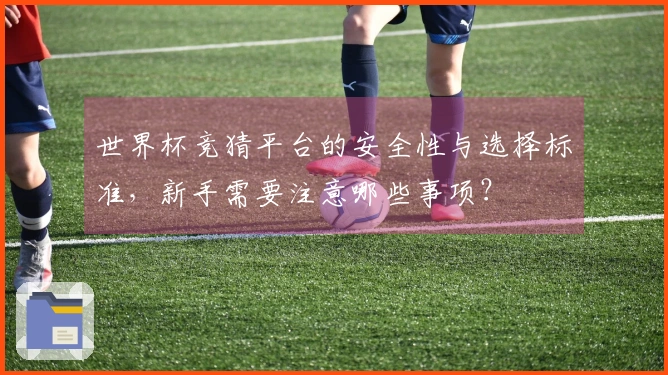 世界杯竞猜平台的安全性与选择标准，新手需要注意哪些事项？