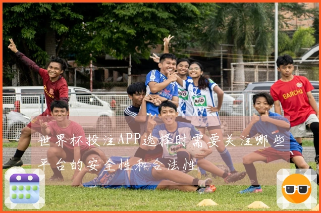 世界杯投注APP选择时需要关注哪些平台的安全性和合法性