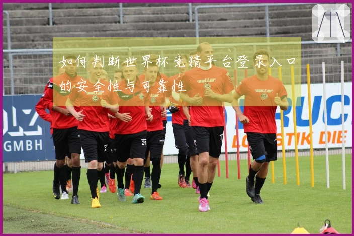 如何判断世界杯竞猜平台登录入口的安全性与可靠性