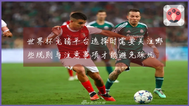 世界杯竞猜平台选择时需要关注哪些规则与注意事项才能避免踩坑