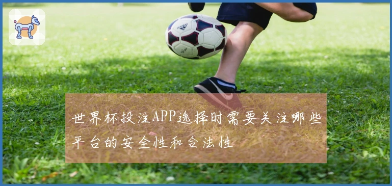 世界杯投注APP选择时需要关注哪些平台的安全性和合法性