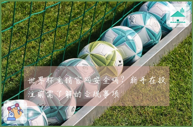 世界杯竞猜官网安全吗？新手在投注前需了解的合规事项