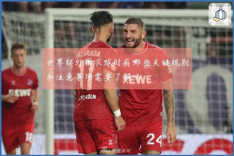 世界杯外围买球时有哪些关键规则和注意事项需要了解吗