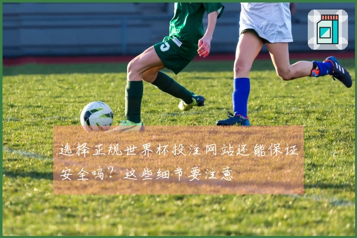 选择正规世界杯投注网站还能保证安全吗？这些细节要注意