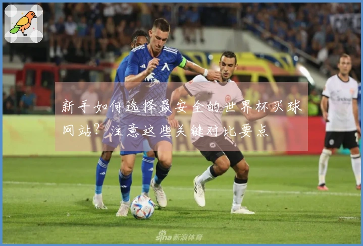 新手如何选择最安全的世界杯买球网站？注意这些关键对比要点