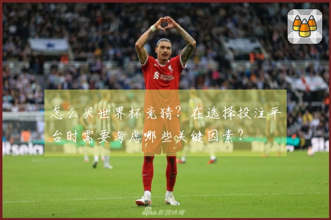 怎么买世界杯竞猜？在选择投注平台时需要考虑哪些关键因素？