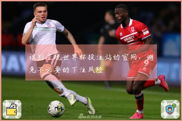 识别正规世界杯投注站的官网，避免不必要的下注风险