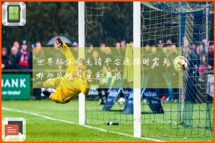 世界杯体彩竞猜平台选择时需关注哪些风险与注意事项