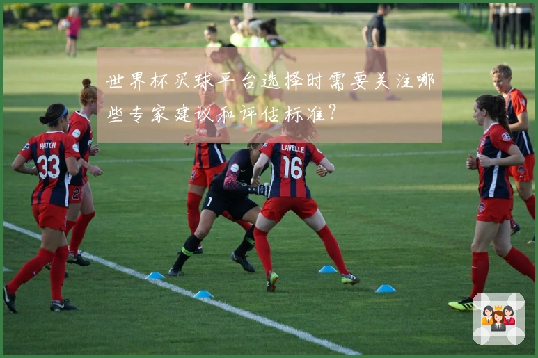 世界杯买球平台选择时需要关注哪些专家建议和评估标准？