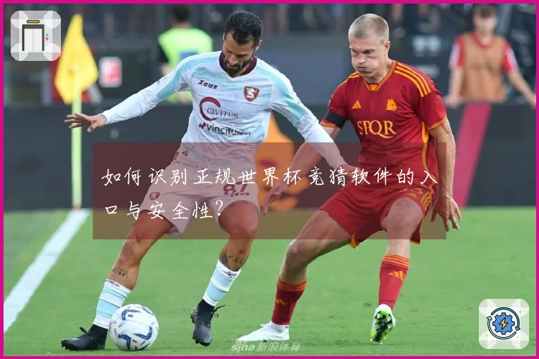 如何识别正规世界杯竞猜软件的入口与安全性？