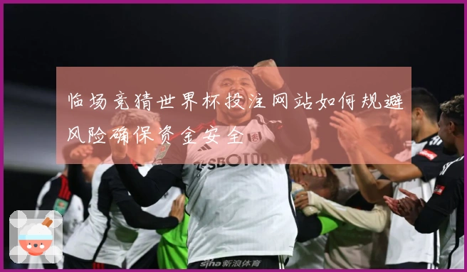 临场竞猜世界杯投注网站如何规避风险确保资金安全