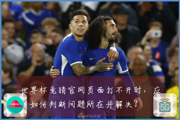 世界杯竞猜官网页面打不开时，应该如何判断问题所在并解决？